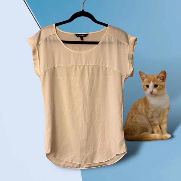 Express Cream Top - Picture 9 of 9